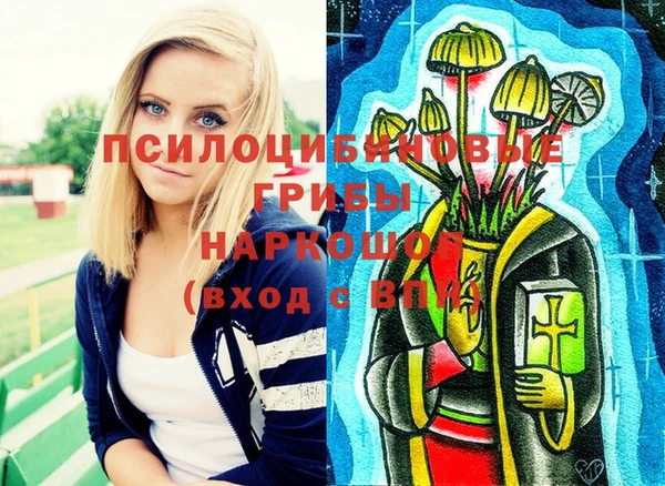 прущая мука Арсеньев