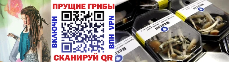 Псилоцибиновые грибы прущие грибы  Купить  Суворов 